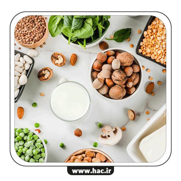 صنف-مواد-پروتئینی نرمافزار حسابداری فرآوردههای پروتئینی هلو APEX - Image 1