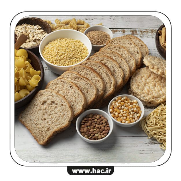 نان و غلات نرمافزار حسابداری نان و فرآوردههای غلات هلو APEX - Image 1